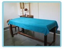 Service Provider of Theraputics rishikesh Uttarakhand 