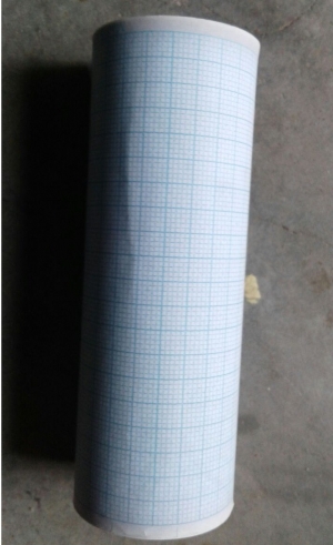 Thermal Paper Rolls Manufacturer Supplier Wholesale Exporter Importer Buyer Trader Retailer in Telangana Andhra Pradesh India