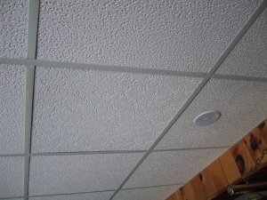 Thermocol Ceiling Services in Telangana  India