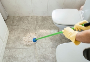 Toilet Cleaning Services