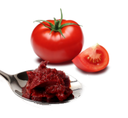 Tomato Paste Manufacturer Supplier Wholesale Exporter Importer Buyer Trader Retailer in Pune Maharashtra India