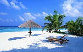 Tour Operators For Goa