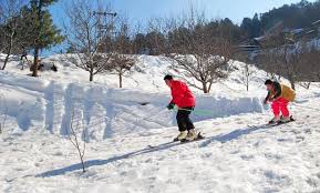 Service Provider of Tour Operators For Shimla Pune Maharashtra 