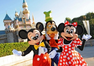 Service Provider of Tour Package For Disneyland Bilaspur Chattisgarh