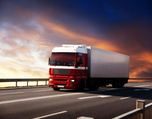 Service Provider of Transporter Full Truck Load Indore Madhya Pradesh 