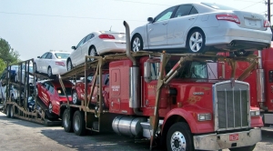 Service Provider of Transporters For Car Ghaziabad Uttar Pradesh 