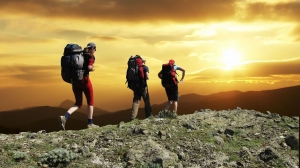 Service Provider of Trekking Chail Himachal Pradesh 