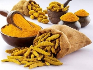 Turmeric Finger Manufacturer Supplier Wholesale Exporter Importer Buyer Trader Retailer in Gondia Maharashtra India