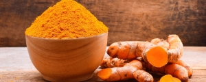 Manufacturers Exporters and Wholesale Suppliers of Turmeric Ahmedabad Gujarat