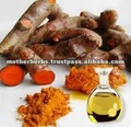 Manufacturers Exporters and Wholesale Suppliers of Turmeric Leaf Oil Surat Gujarat