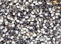 URAD DAL Manufacturer Supplier Wholesale Exporter Importer Buyer Trader Retailer in Nagpur Maharashtra India