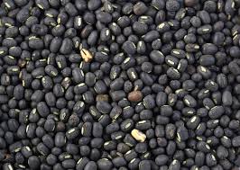 Manufacturers Exporters and Wholesale Suppliers of URAD GOTA Nagpur Maharashtra