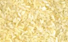 US STYLE RICE Manufacturer Supplier Wholesale Exporter Importer Buyer Trader Retailer in Nagpur Maharashtra India