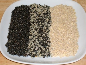 Manufacturers Exporters and Wholesale Suppliers of Urad Dal Nagpur Maharashtra