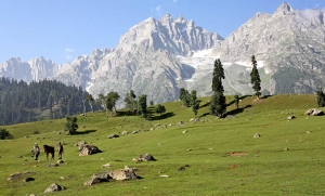 VALLEY OF KASHMIR WITH DACHIGAM NATIONAL PARK Services in Manali Himachal Pradesh India
