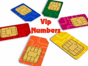 Manufacturers Exporters and Wholesale Suppliers of VIP Mobile Number Faridabad Haryana