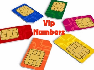 VIP Mobile Number Manufacturer Supplier Wholesale Exporter Importer Buyer Trader Retailer in Faridabad Haryana India