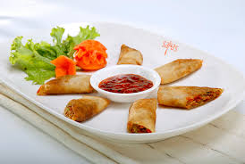 Manufacturers Exporters and Wholesale Suppliers of Veg. Spring Roll Bhubaneshwar Orissa