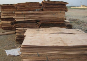 Manufacturers Exporters and Wholesale Suppliers of Veneer Core Wood Nangloi Delhi