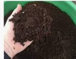 Vermi Compost