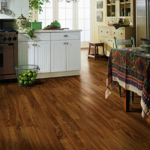 Vinyl Flooring Services in New Delhi Delhi India