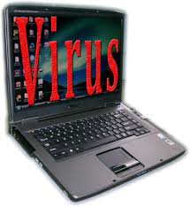 Service Provider of Virus Solution Lucknow Uttar Pradesh 