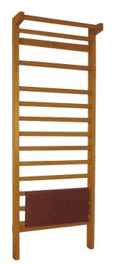Manufacturers Exporters and Wholesale Suppliers of Wall Bar / Ladder delhi Delhi