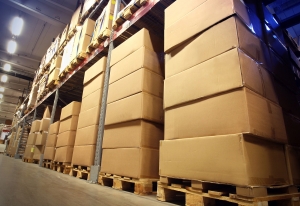 Service Provider of WAREHOUSING SERVICES  Patna Bihar 