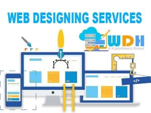 Manufacturers Exporters and Wholesale Suppliers of WEB DESIGNING AND HOSTING Secunderabad Andhra Pradesh