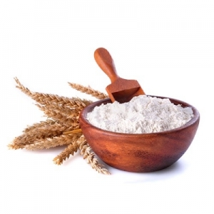 WHEAT FLOUR Manufacturer Supplier Wholesale Exporter Importer Buyer Trader Retailer in Vadodara Gujarat India