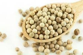 Service Provider of WHITE PEPPER Nagpur Maharashtra 