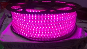 Pink Rope Light Manufacturer Supplier Wholesale Exporter Importer Buyer Trader Retailer in Surat Gujarat India