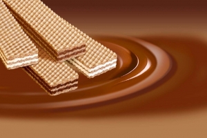 Manufacturers Exporters and Wholesale Suppliers of Wafer Bikaner Rajasthan