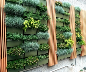 Wall Gardening