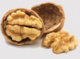 Manufacturers Exporters and Wholesale Suppliers of Walnut kernal Jammu Jammu & Kashmir