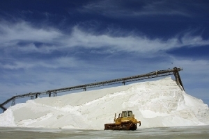 Manufacturers Exporters and Wholesale Suppliers of Washed Salt Kutch Gujarat