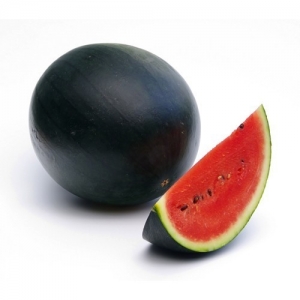 Manufacturers Exporters and Wholesale Suppliers of WATERMELON DEESA Gujarat