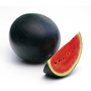 WATERMELON Manufacturer Supplier Wholesale Exporter Importer Buyer Trader Retailer in DEESA Gujarat India