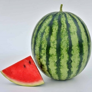 Watermelons Manufacturer Supplier Wholesale Exporter Importer Buyer Trader Retailer in Telangana Andhra Pradesh India