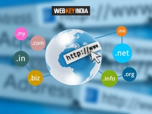 Web Domain Name Registration Services in New Delhi Delhi India