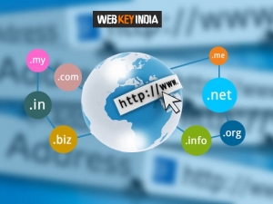 Service Provider of Web Domain Name Registration New Delhi Delhi 