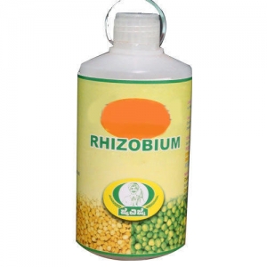Weber Rhizobium Bio-fertilizer