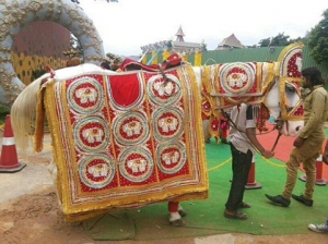 Wedding Ceremony