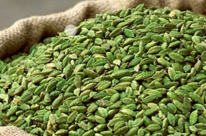 Manufacturers Exporters and Wholesale Suppliers of Green Cardamom Chennai Tamil Nadu