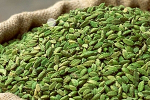 Green Cardamom Manufacturer Supplier Wholesale Exporter Importer Buyer Trader Retailer in Chennai Tamil Nadu India