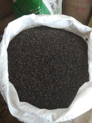 Black Pepper Manufacturer Supplier Wholesale Exporter Importer Buyer Trader Retailer in Chennai Tamil Nadu India