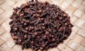 Manufacturers Exporters and Wholesale Suppliers of Cloves Chennai Tamil Nadu