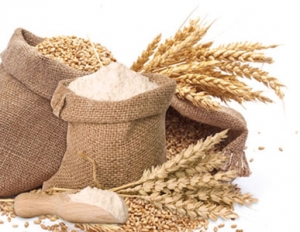 Manufacturers Exporters and Wholesale Suppliers of Wheat Flour Vadodara Gujarat