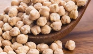 Manufacturers Exporters and Wholesale Suppliers of White Chickpeas (Kabuli Chana) Gondia Maharashtra