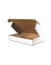 Manufacturers Exporters and Wholesale Suppliers of White Flat Box Gurgaon Haryana